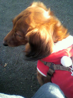 2009122014430000.jpg