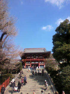 2010013011260000.jpg