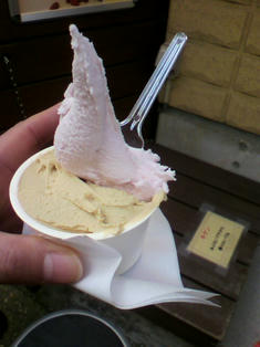 2010013011560001.jpg