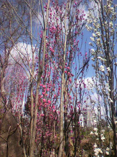 2010040313550000.jpg