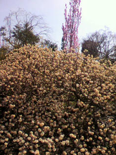 2010040313510000.jpg