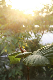 3c56f5d2.JPG