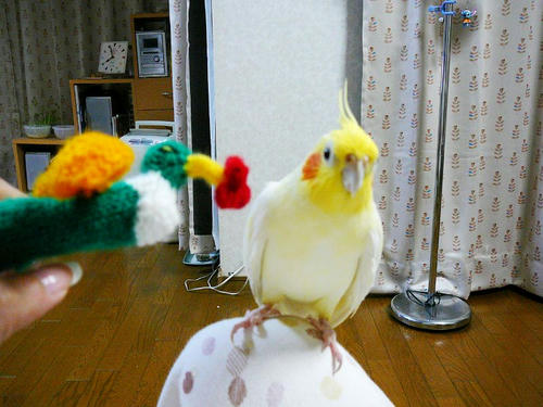 070627-80.jpg