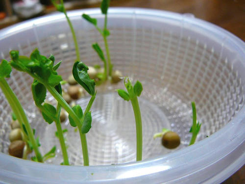070701-90.jpg