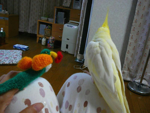 070702-90.jpg