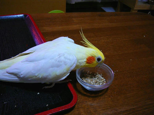 070702-60.jpg