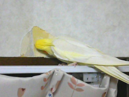 070706-90.jpg