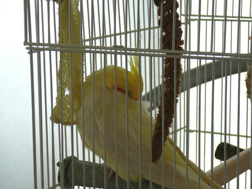 070706-70.jpg
