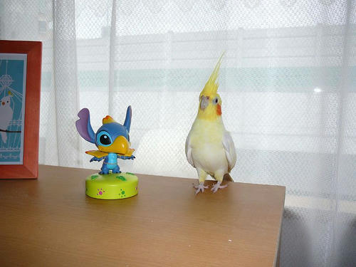070707-80.jpg