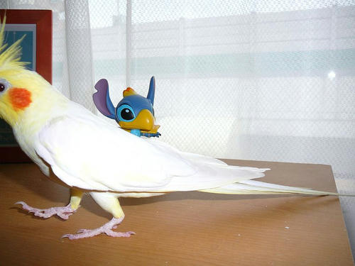 070707-70.jpg