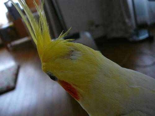 070708-90.jpg