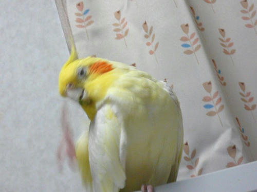 070709-90.jpg
