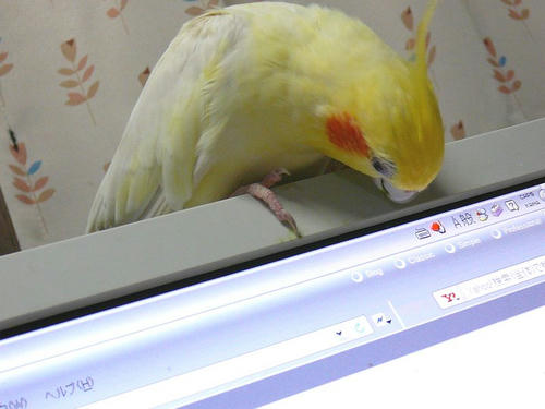 070709-70.jpg