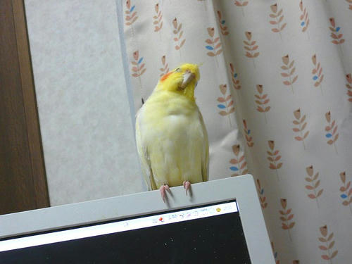 070709-50.jpg