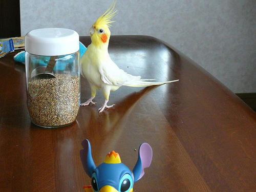 070712-90.jpg
