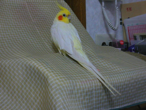 070713-90.jpg