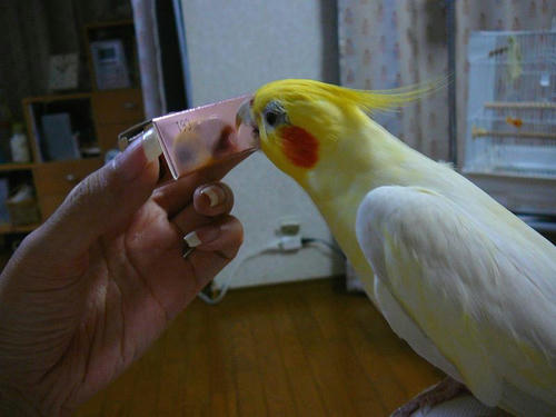070801-90.jpg