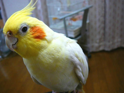070802-90.jpg
