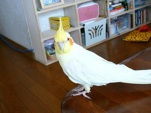 070803-99.jpg