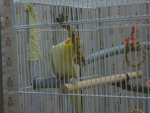 070803-90.jpg