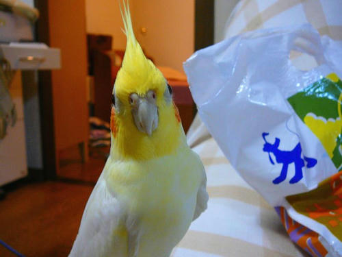 070804-90.jpg