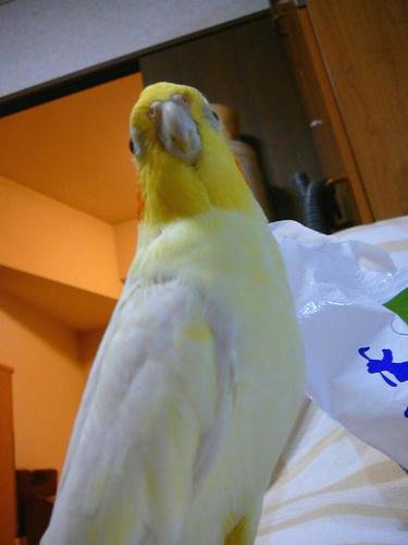 070804-80.jpg