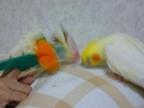 070806-90.jpg