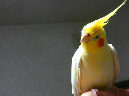070806-60.jpg