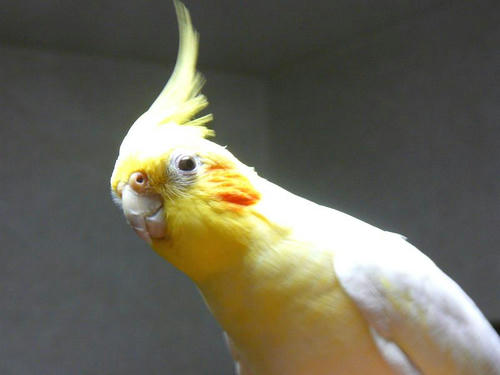 070806-50.jpg