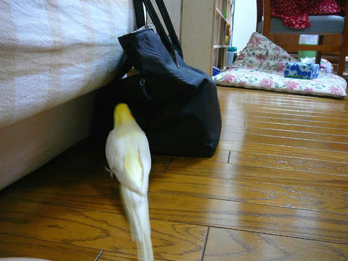 070808-90.jpg