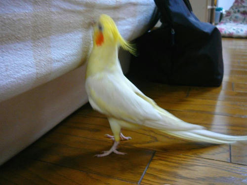 070808-80.jpg