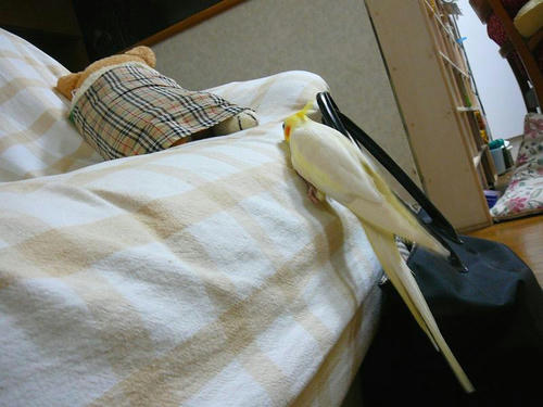 070808-70.jpg