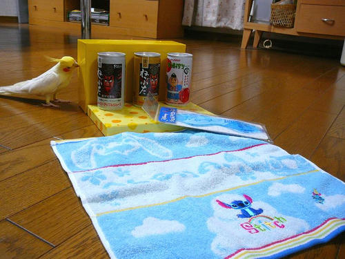070809-50.jpg