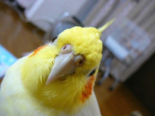 070810-90.jpg