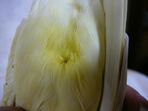 070812-90.jpg