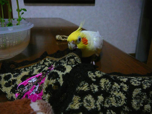 070813-90.jpg