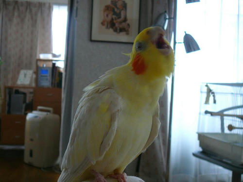 070813-30.jpg