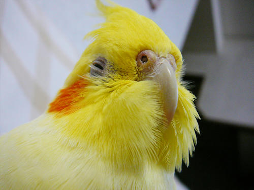 070814-90.jpg