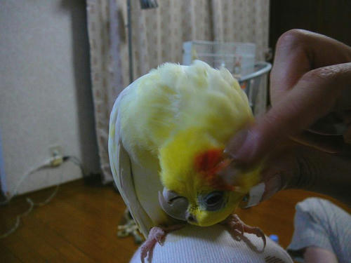 070817-80.jpg
