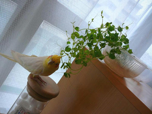 070819-70.jpg