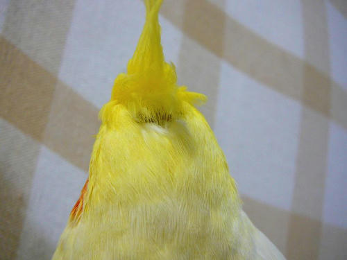 070820-90.jpg