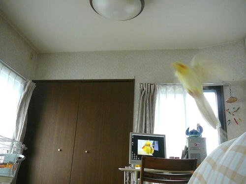 070820-70.jpg
