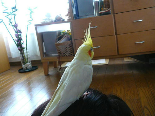 070901-80.jpg