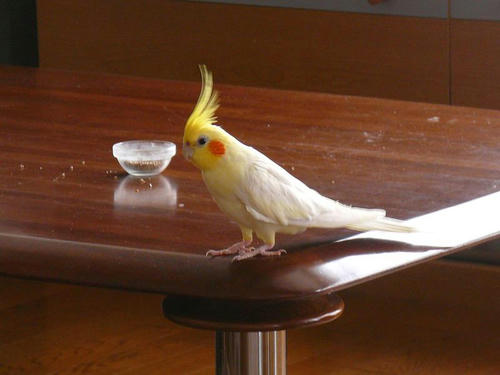 070903-70.jpg