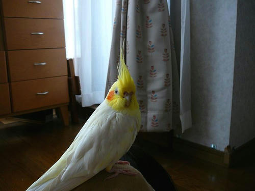 070903-60.jpg