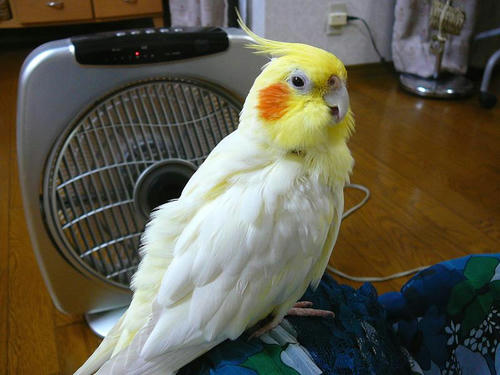070904-90.jpg