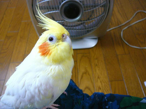070904-70.jpg