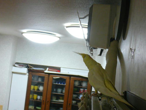 070905-70.jpg