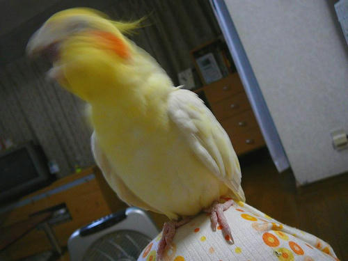070906-80.jpg