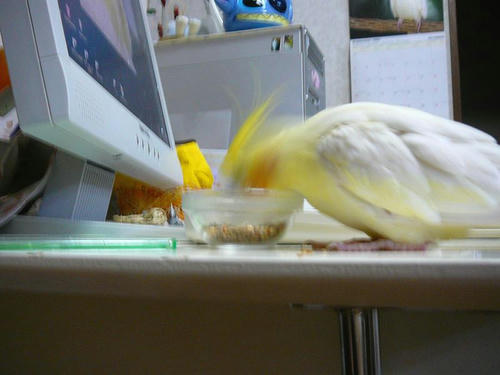 070906-70.jpg